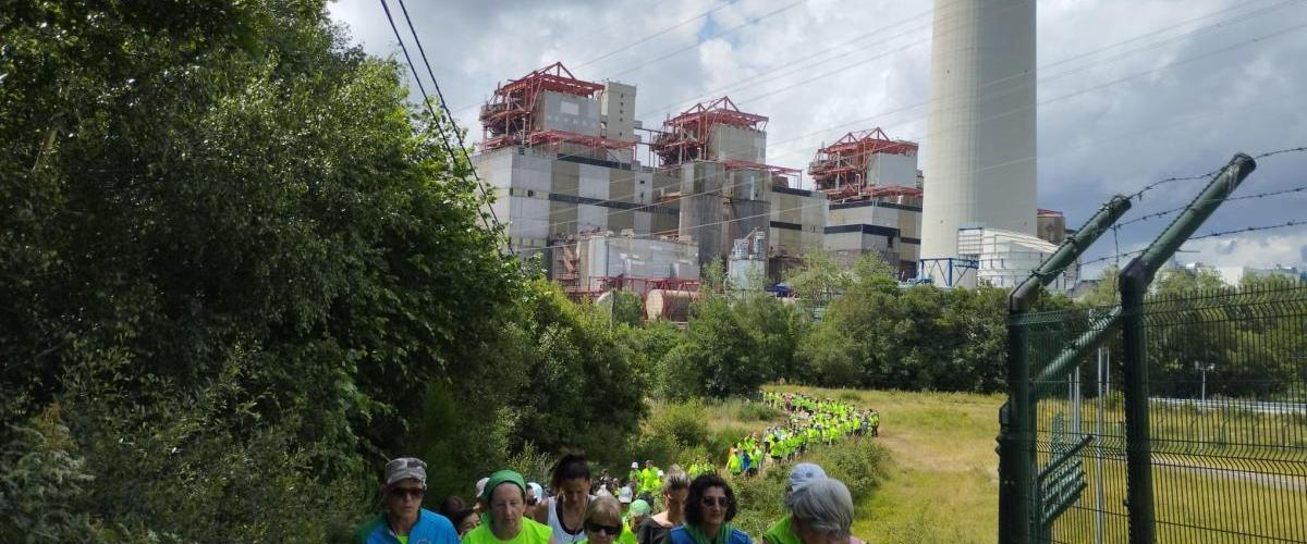 Ruta contra o cancro