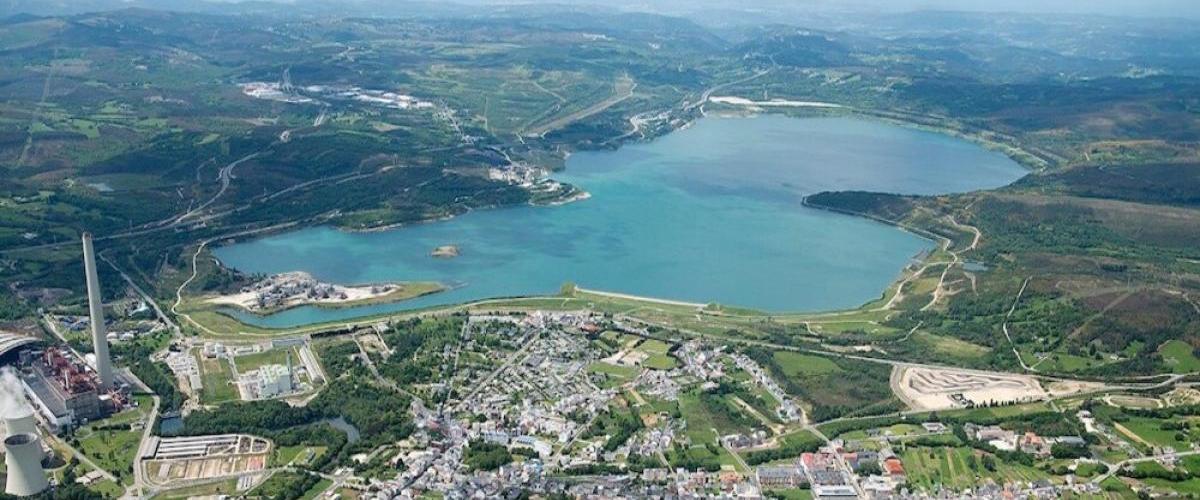 Ruta contra o cancro